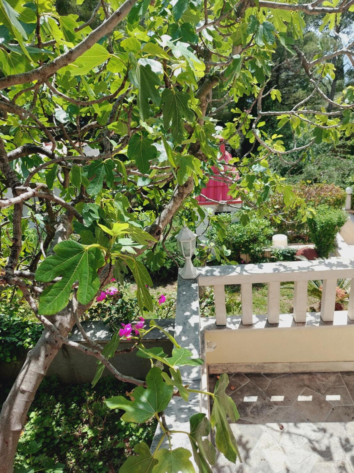 Villa Rosso Baška Voda Kamer foto